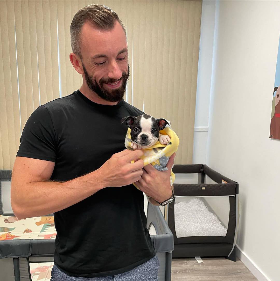 A Maple Haven Boston Terrier puppy going home with its new family