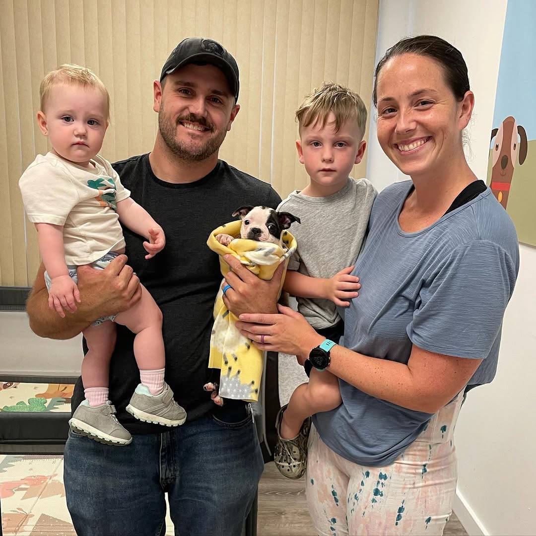 A Maple Haven Boston Terrier puppy going home with its new family