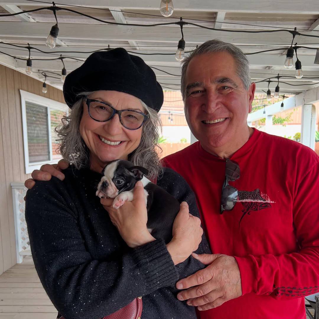 A Maple Haven Boston Terrier puppy going home with its new family